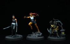 Marvel Crisis Protocol ECHO, RONIN TIGRA - PAINT COMMISSION