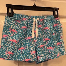 Chubbies Youth Swim Trunks Blue Pink Flamingo Print Size XS 6/7 Shorts
