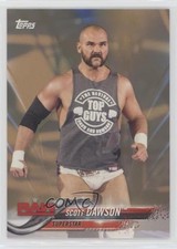 2018 Topps WWE Then Now Forever Bronze Scott Dawson #172 8i5