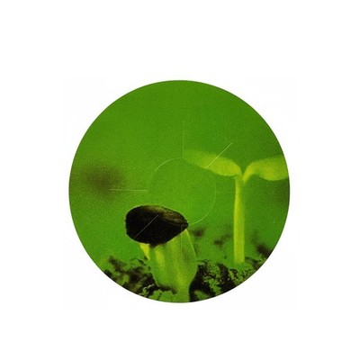Hydrokultur Korb Kit kompatibel mit den meisten Systemen Grow Schwamm Ersatz Set