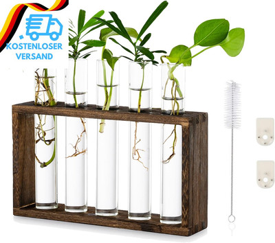 Modern Blumenvase Kleine Vasen Deko Set Vintage Glas Reagenzgläser Für Blumen Mi