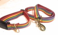 LGBT dog collars and leads - Australian Made
