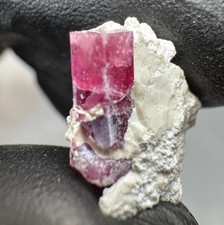 Roter Beryll 0,95 cm Kristall-Länge Utah Wah Wah Minen Exklusiv Karat