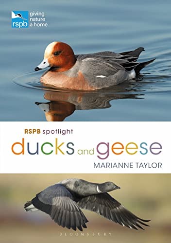 RSPB Spotlight Ducks and Geese,Marianne Taylor