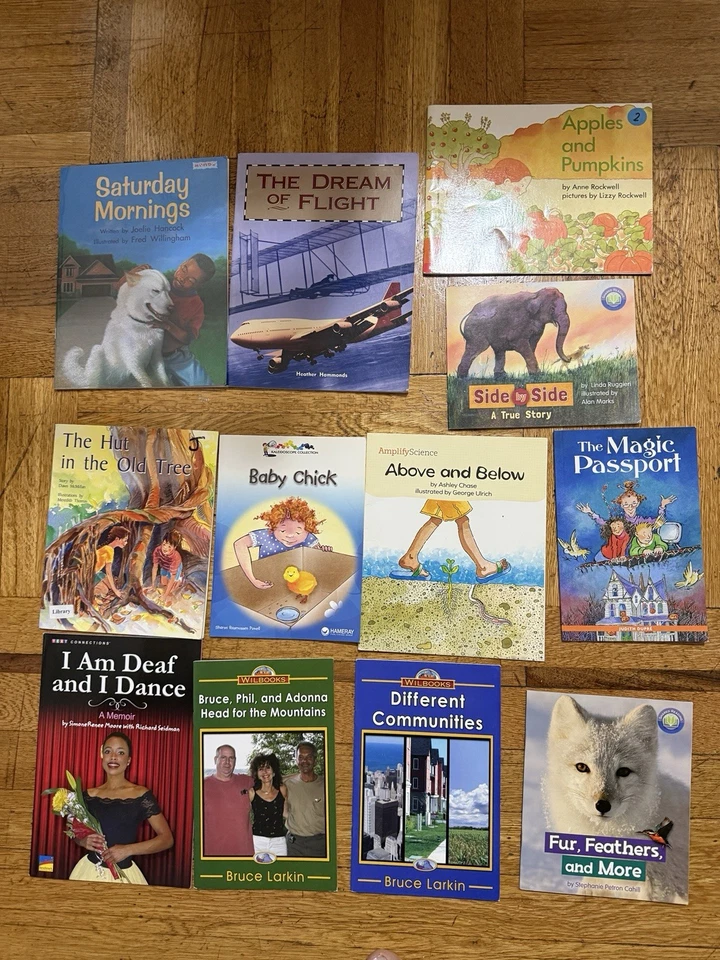 Lot of 100 K, 1st, 2nd Grade AR Accelerated Reading Picture Books - Image 4 of 4