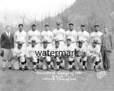 Homestead Grays 1931 Negro League Champions, 8x10 B&W Photo