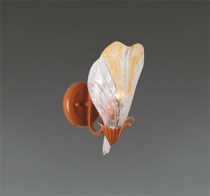 Brooklyn Lite Ebay Stores