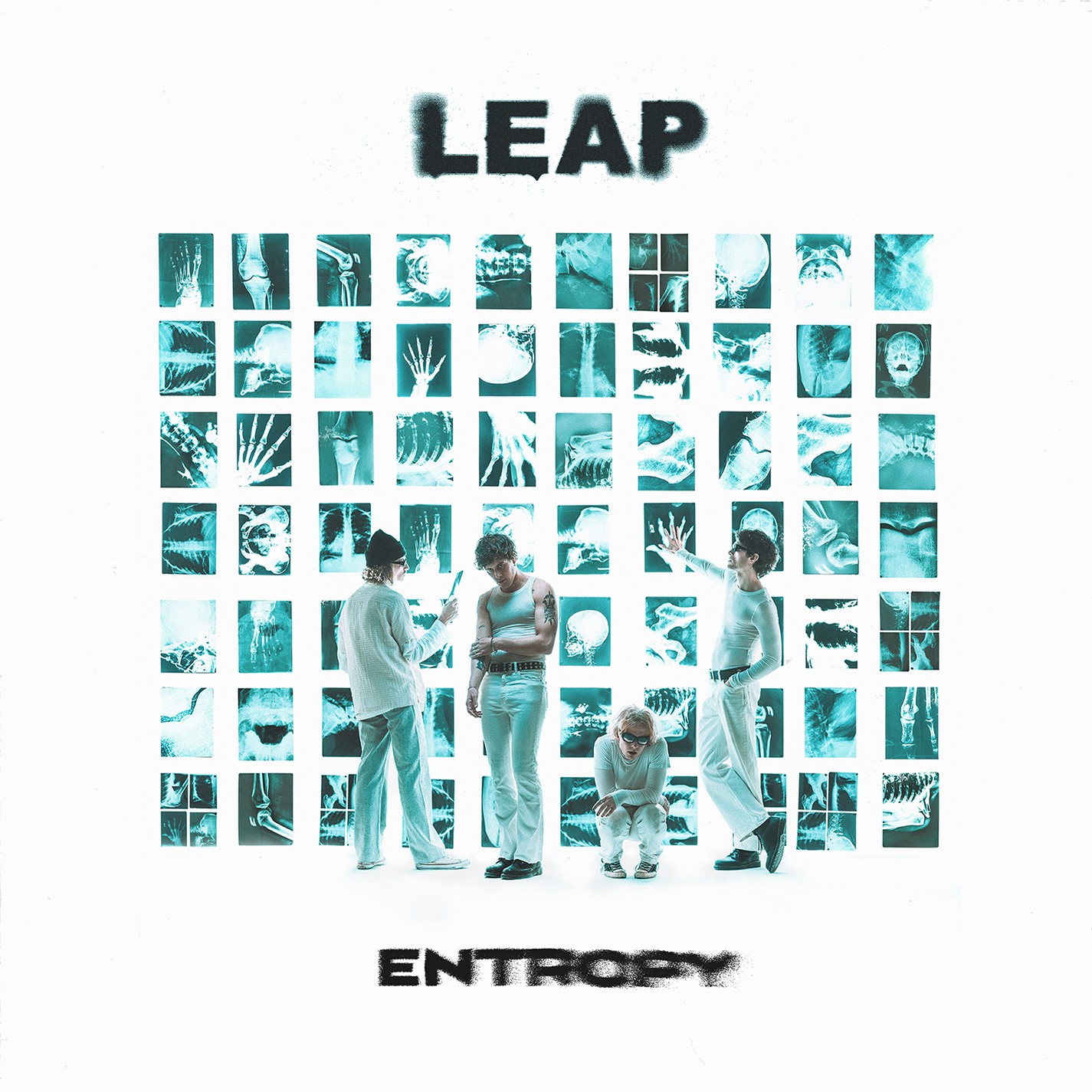 Leap Entropy - Image 2