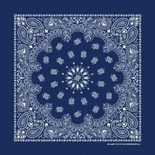 Navy Paisley 22x22 Bandanna