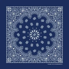 Navy Paisley 22x22 Bandanna