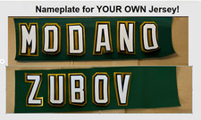 Dallas Stars UNSEWN Namebar or Nameplate for your Jersey - Any Season Color Name
