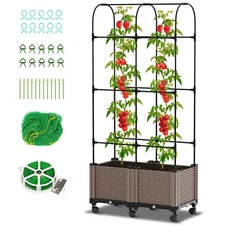 SUNYRISY Raised Garden Bed Planter Box Trellis Tomatoes Planters Self- Watering