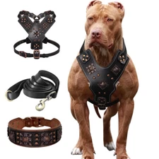 Black Leather Dog Harnesses &Collar & Leash Heavy Duty for Large Breeds Pitbull