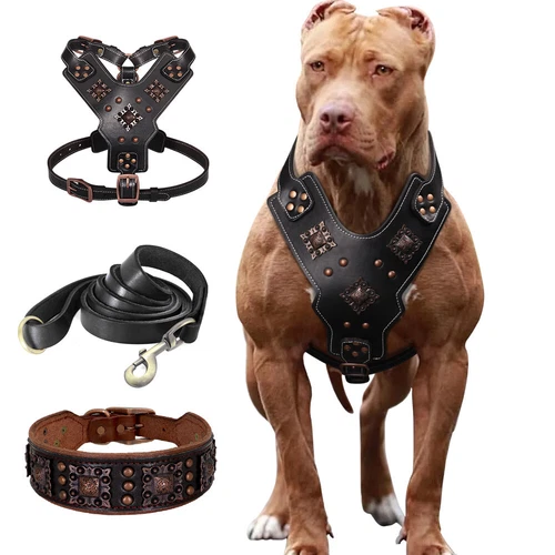 Real Leather Dog Harness / Dog Collar / Leash Heavy Duty for Large Dogs Pitbull