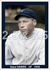 Dave Harris - 1930 Washington Senators - choose a style - colorized print