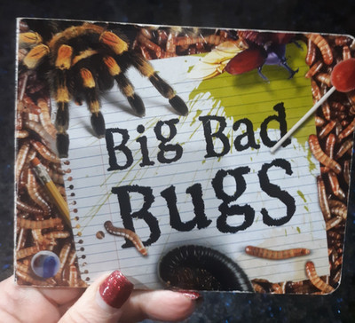 Big Bad Bugs Book by: Mike Sund. Ages 3+ Board Book. Very Good Condition.