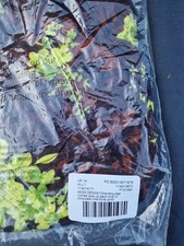 Asos Design Ruched Lace Up Back Midi In Chocolate Lime Floral Print