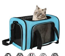 Teal Cat, Dog Carrier for Pets Up to 16 Lbs. 17.5x11x11 Inches Soft-Sided Cat