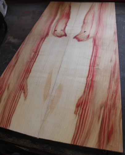 Curly red flame box elder maple drop top .32" thk bass guitar tonewood 2593 - Picture 7 of 9