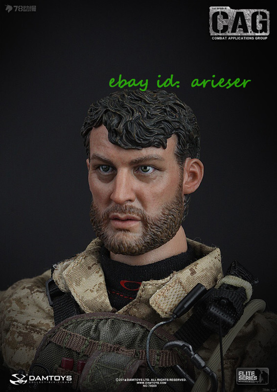 Perfect Damtoys 1/6 78009 Elite Series 1st Sfod-D Combat