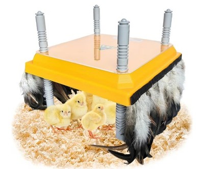 10x10 inch Chick Brooder Heating Plate Brooder Heat Plate for Chicks Ducklings
