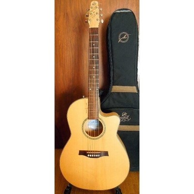 Electric Acoustic Guitar Seagull Natural Elements CW Folk SG Amber