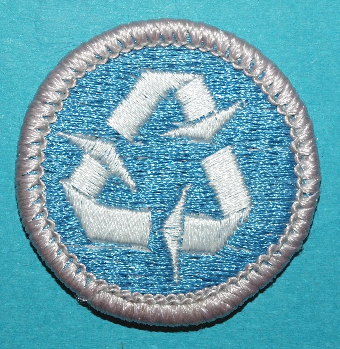 Environmental science merit badge