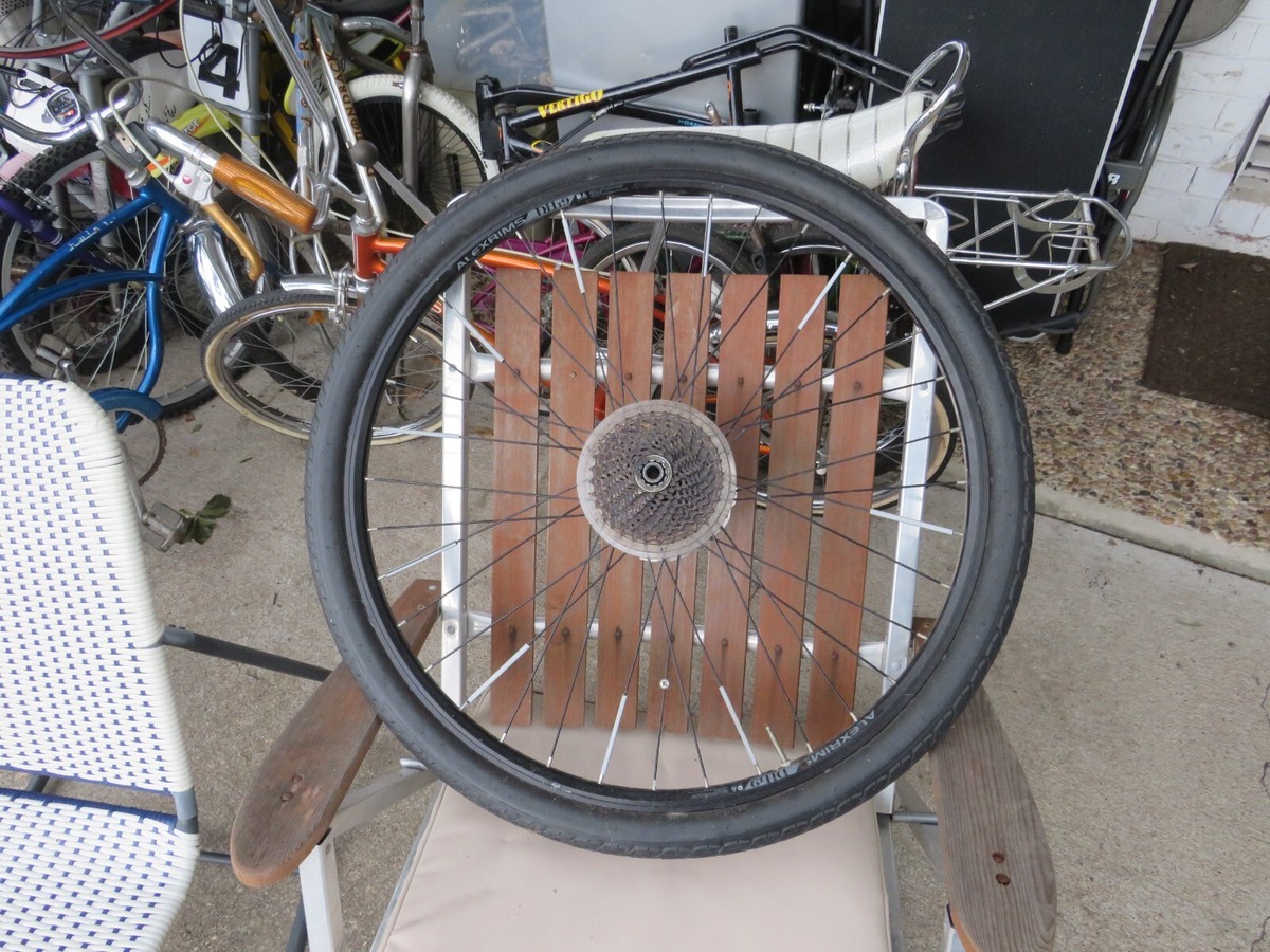 izip electric bike dash Alexrims DH19 Rear wheel