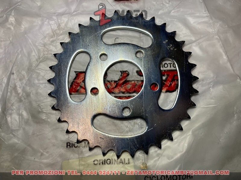 Coperture Temporanee In Alluminio E Telo PVC