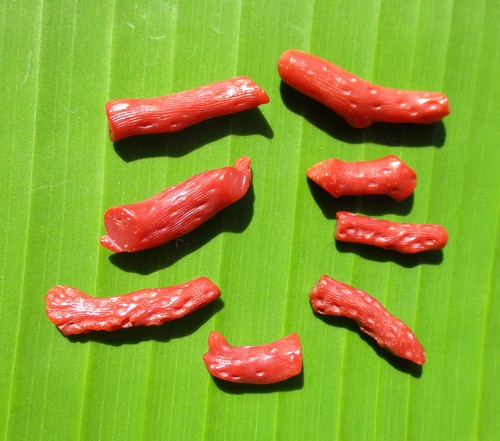 Red Mediterranean Coral Branch; Italy 1970s; 8 pieces/43.80 Carats. Nice Stock - Picture 2 of 5