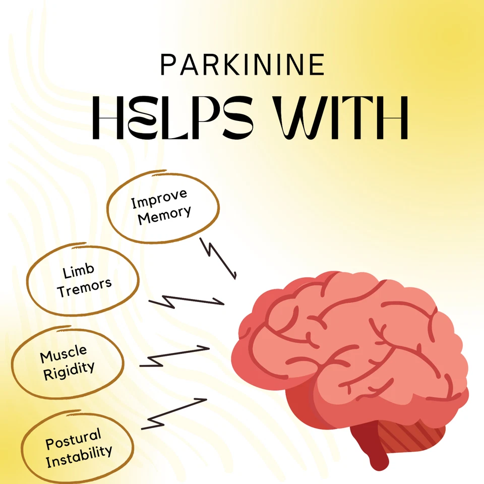 Refuerzo cerebral nootrópico orgánico mejora el enfoque cerebral, la claridad y la memoria Foto 2 de 4