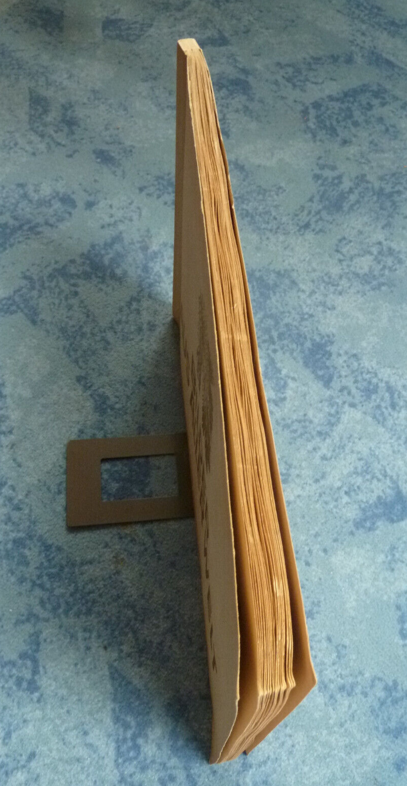 Bild 11 von 11