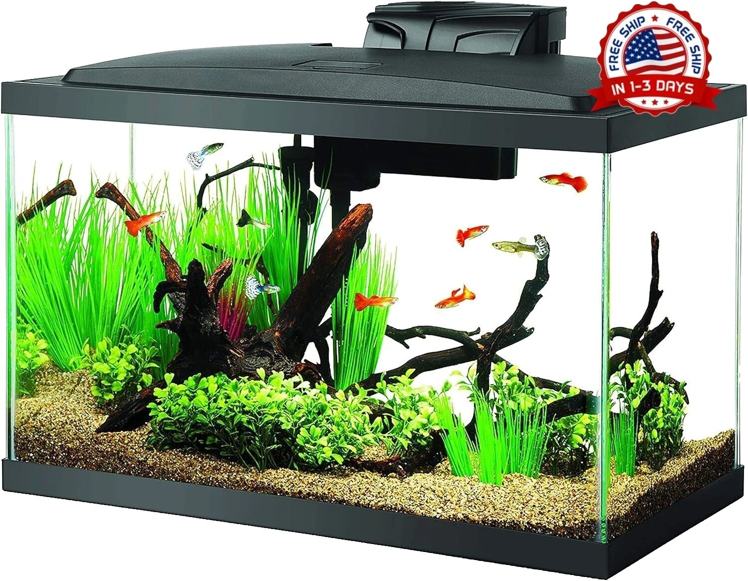 Rectangle (Standard) Glass Tank Starter Kits