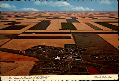 CANADA Postcard Kanada Postkarte Saskatchewan The Bread Basket of the world 1984