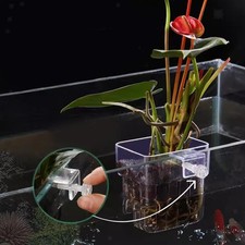 Porta piante per acquario, decorazione per acquario, tazza per fioriera per