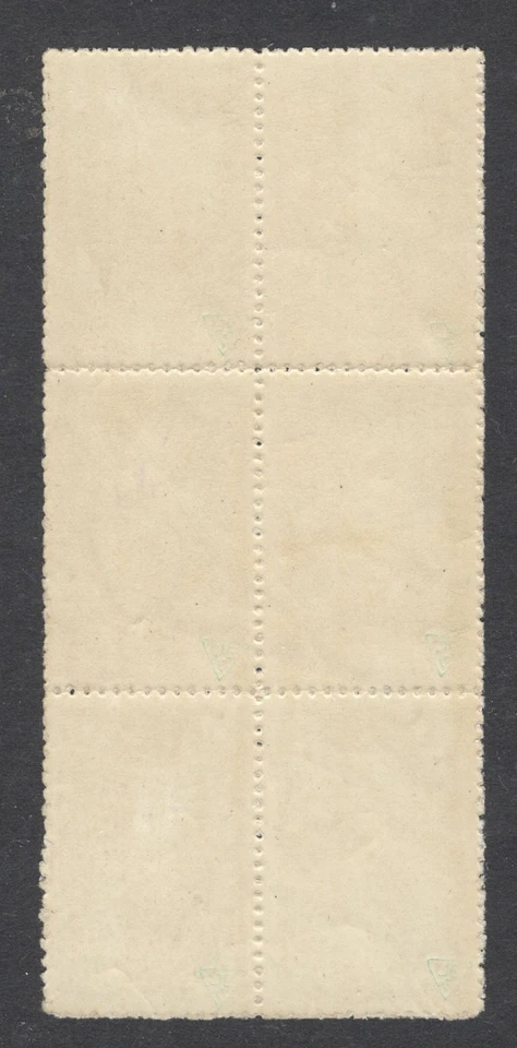 SHS SLOVENIA YUGOSLAVIA-MNH BLOCK OF 6 -ERROR, SMALL LETTER "K" ON 6 STAMPS-1920 - Image 4 of 4