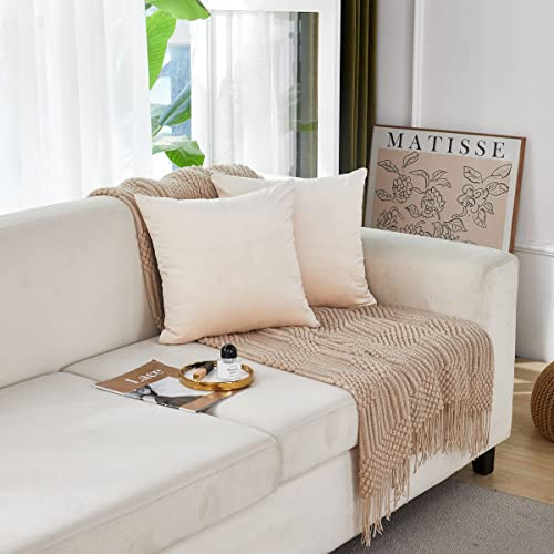 Beige Velvet Large Pillow Covers 24x24 Inch Cozy Soft Square Decorative Throw - Foto 2 di 6