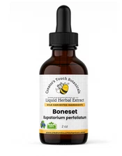 Boneset Tincture | Eupatorium perfoliatum 1-2oz | Immune, Resp & Fever support