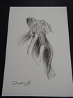 Bild 4 von 12