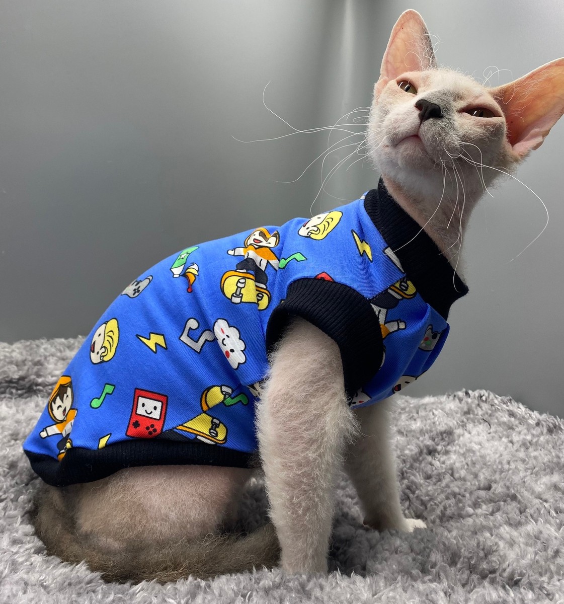 Sphynx cat clothes, sphynx clothing, cat clothes,hairless cat