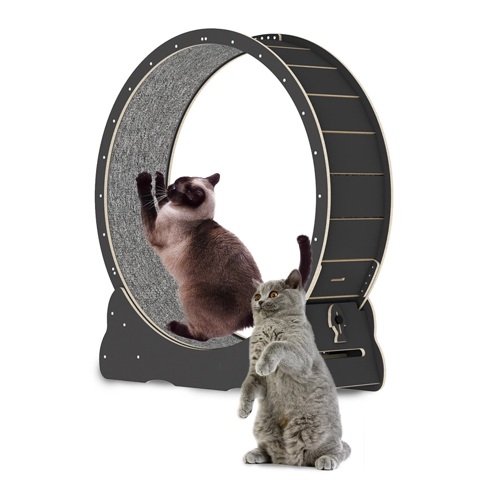 Cat Exercise Wheel w/ Carpeted Runway for Indoor Running and Scratching Cat Toys
Opens in a new wind