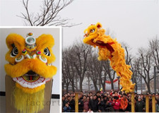 Chinese Folk art Lion Dance mascot Costume wool Southern Lion For two adults new