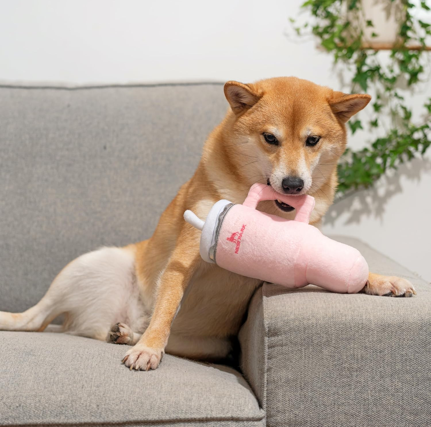 Tumbler Cup Funny Dog Toy - Parody Plush Squeaky Crinkle Dog