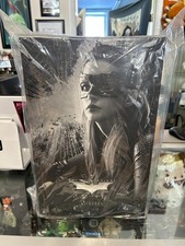 Hot Toys The Dark Knight Rises Catwoman MMS627 1 6 figure NIB