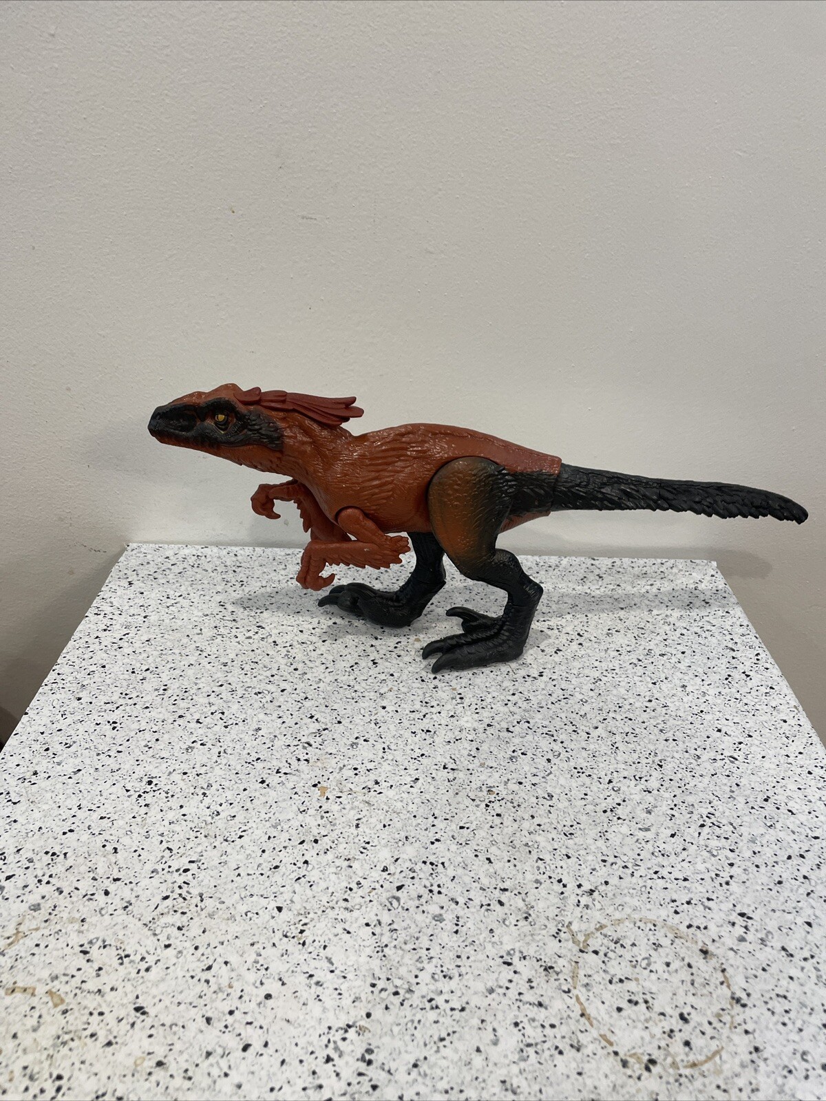 Picture 5 of 15