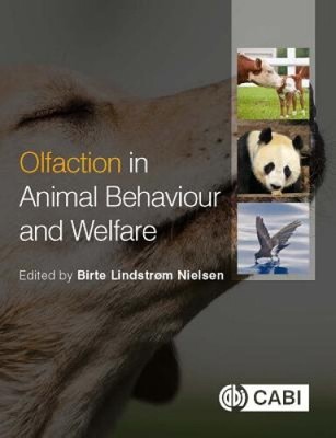Olfaction in Animal Behaviour and Welfare by Birte Lindstrom Nielsen
