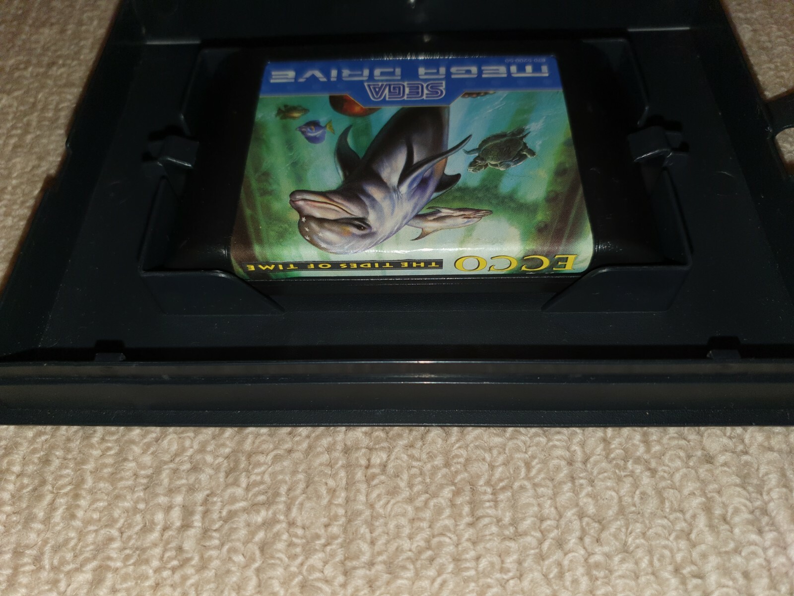 Picture 5 of 6