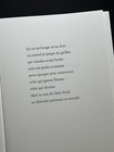 Bild 12 von 13