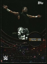 D-Von Dudley 2025 Universe WWE Galaxy #241 
