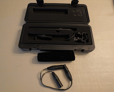 Azden SMX-100 High Performance Stereo Microphone with stereo input adapter.